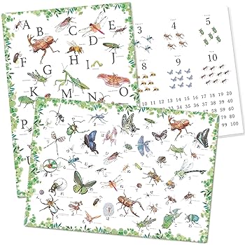 Amazon.co.jp: チアフル舎 【森の昆虫ポスター】 A3 3枚セット